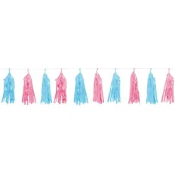 Party Delights Blue & Pink Gender Reveal Foil Tassel Garland - 1.5M< Hanging Decorations