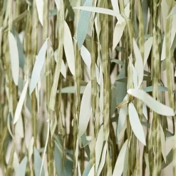 Party Delights Botanical Baby Green Leaf Backdrop< Party Backdrops