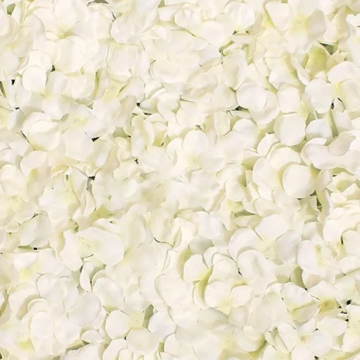 Party Delights Cream Hydrangea Flower Wall - 40 X 60Cm< Flowers & Foliage