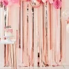 Party Delights Mix It Up Pink & Rose Gold Streamer Backdrop Kit< Hanging Decorations