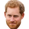 Party Delights Prince Harry Mask< Masks