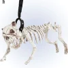 Skeleton Dog With Lead - 45Cm<Party Delights